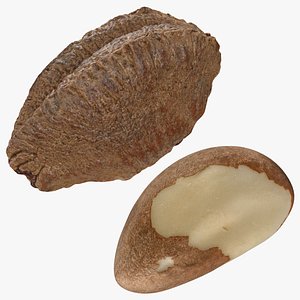 Brazil Nut and Brazil Nut Shell Collection
