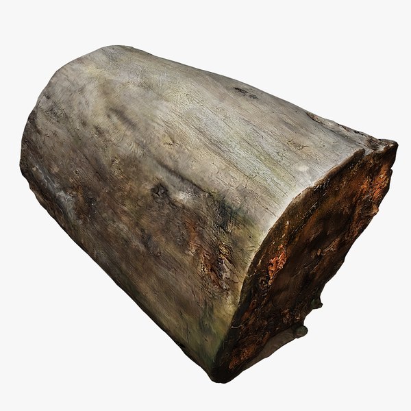 Tree Stump 27 3D