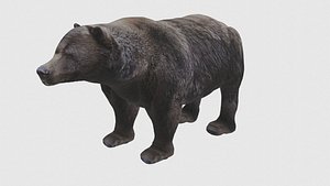 3D model Low Poly Grizzly Bear Rigged With Realistic Texture