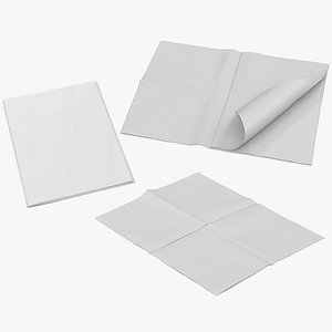 3D newspaper mockups model