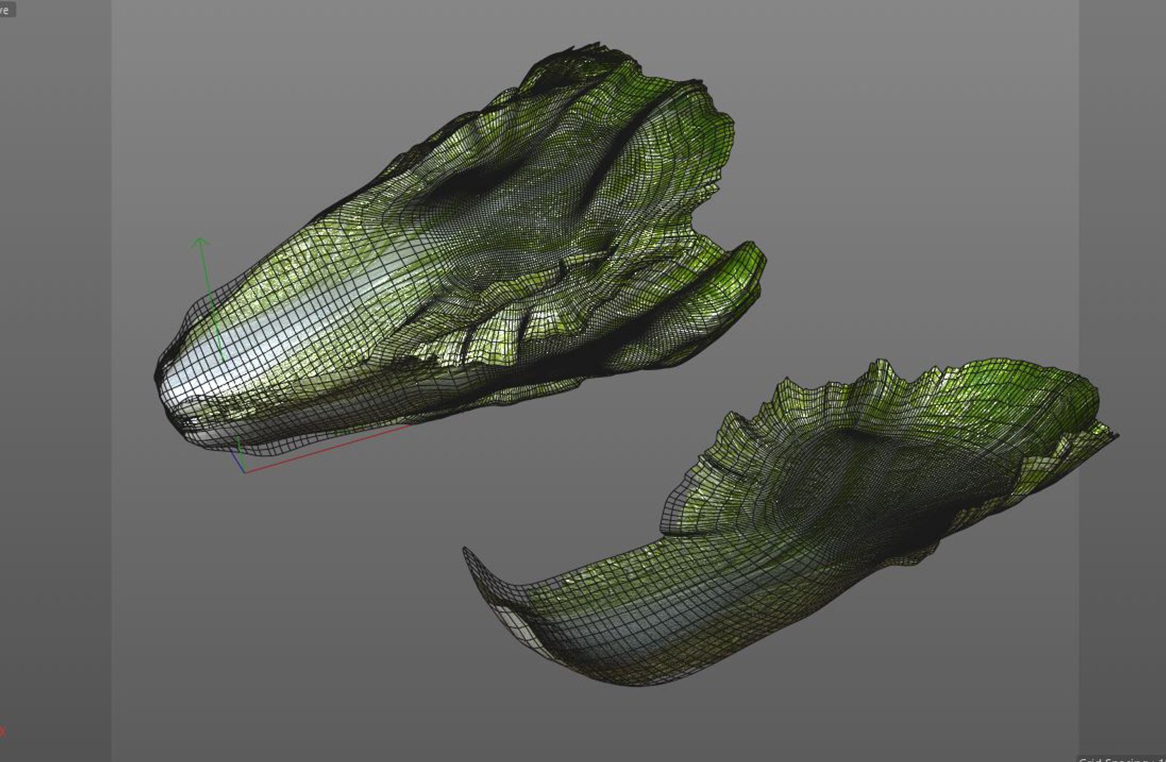 3D lettuce model https://p.turbosquid.com/ts-thumb/lM/6Z8yXP/WVsqrhBD/10/jpg/1587310934/1920x1080/fit_q87/5a9197b74770326d95bf8266cf7817ef15125107/10.jpg