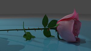 The rose flower 3D model