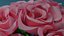 Die Rosenblüte