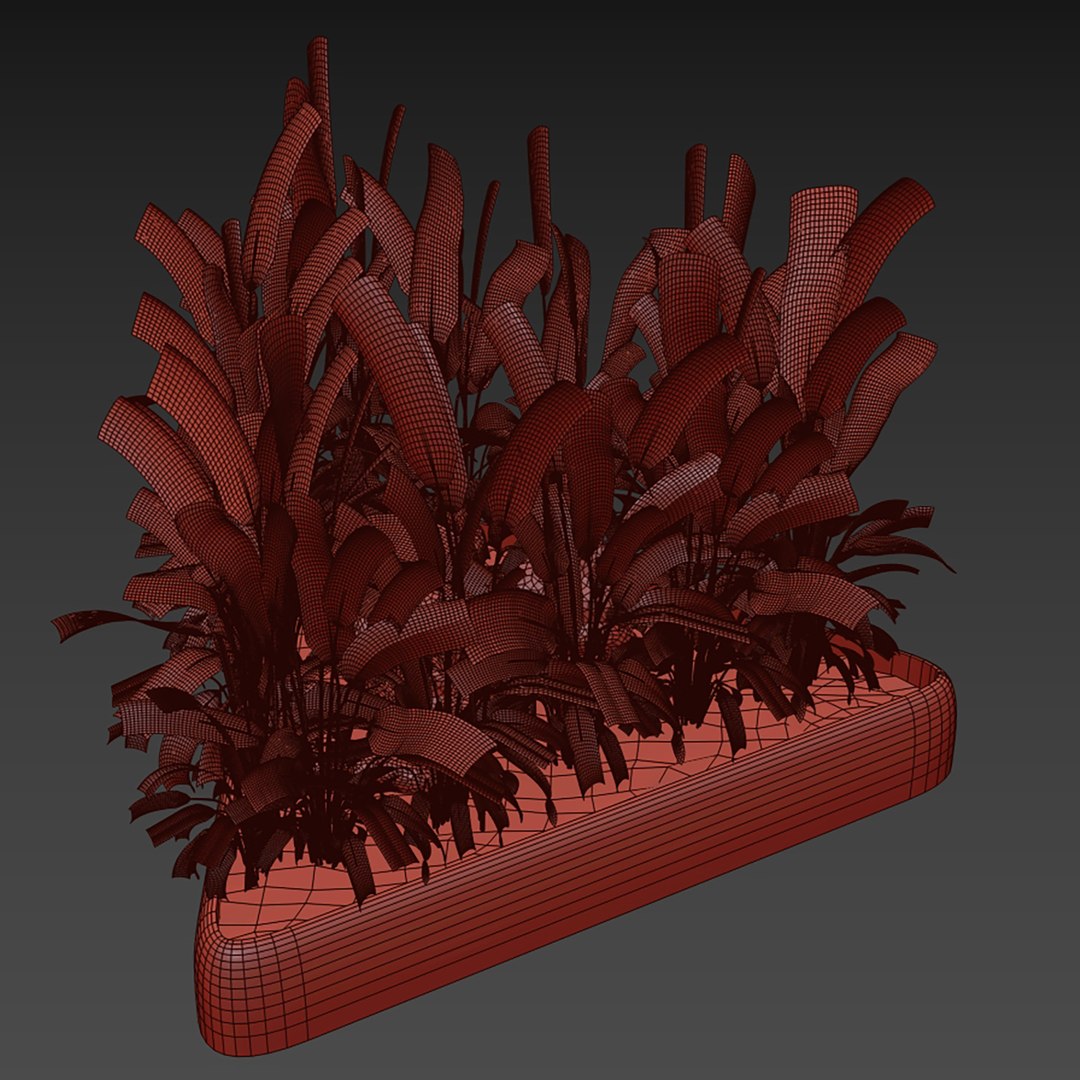 Collection plant vol 656 - banana - garden - monstera 3D https://p.turbosquid.com/ts-thumb/lM/9kxgS8/JE/7/jpg/1762466056/1920x1080/fit_q87/aaad148c45c3db1ab73aa27028982fd826bcb745/7.jpg