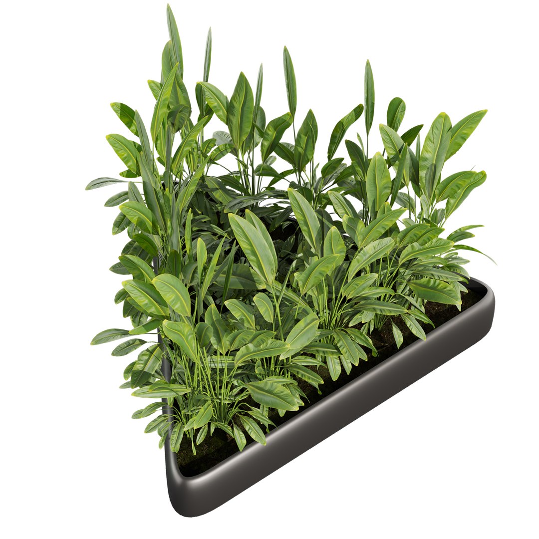 Collection plant vol 656 - banana - garden - monstera 3D https://p.turbosquid.com/ts-thumb/lM/9kxgS8/hP/6/jpg/1762466056/1920x1080/fit_q87/851d93b7895feef1bf378215c1e4bbb3449a5337/6.jpg