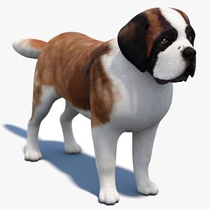 3D Saint Bernard 3D Model model