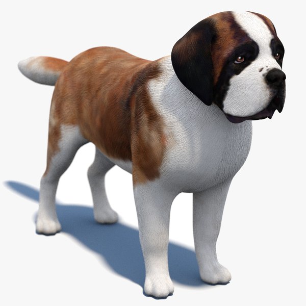 saintbernard3dmodel01.jpg