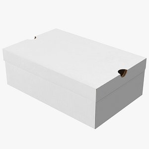 Shoes Packaging Box Closed