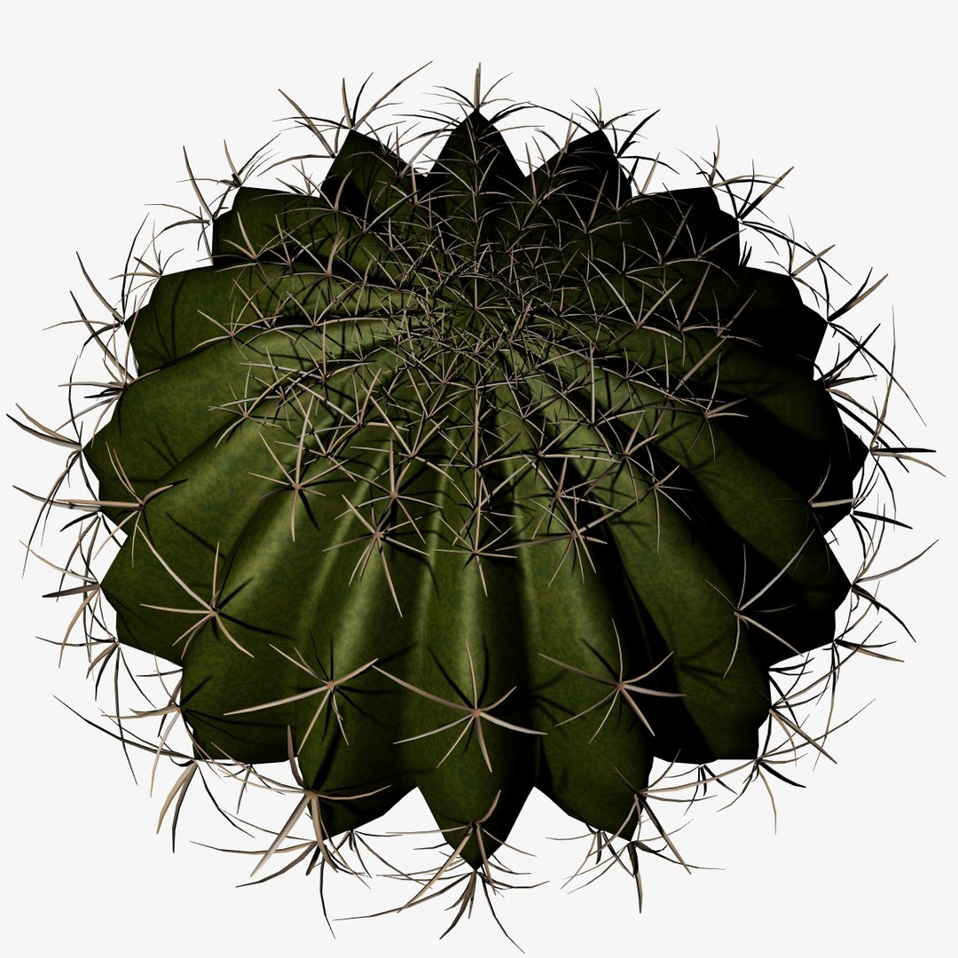 Ball Cactus Obj