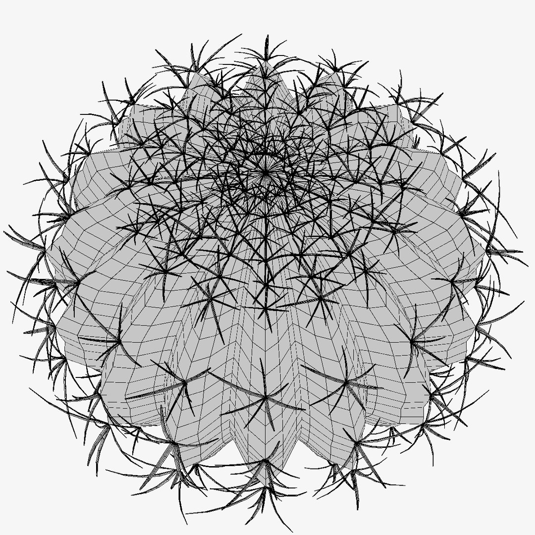 Ball Cactus Obj