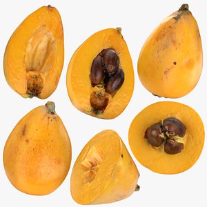 Loquat Collection 3D model