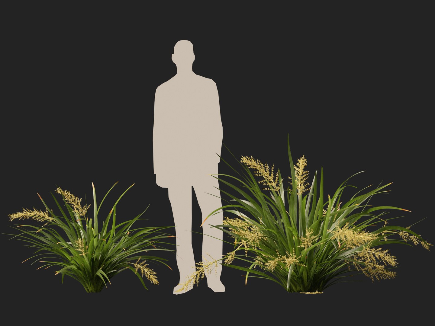 3D HighpolyLow Poly Lomandra hystrix Katie Belles - Slender Mat Rush https://p.turbosquid.com/ts-thumb/lM/QG8emZ/Jh/lomandrahystrixkatiebelles014/jpg/1753438103/1920x1080/fit_q87/b7d88e9156afd1ce3b7488605c88789b161db37a/lomandrahystrixkatiebelles014.jpg