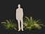 HighpolyLow Poly Lomandra Hystrix Кэти Беллес - Slender Mat Rush
