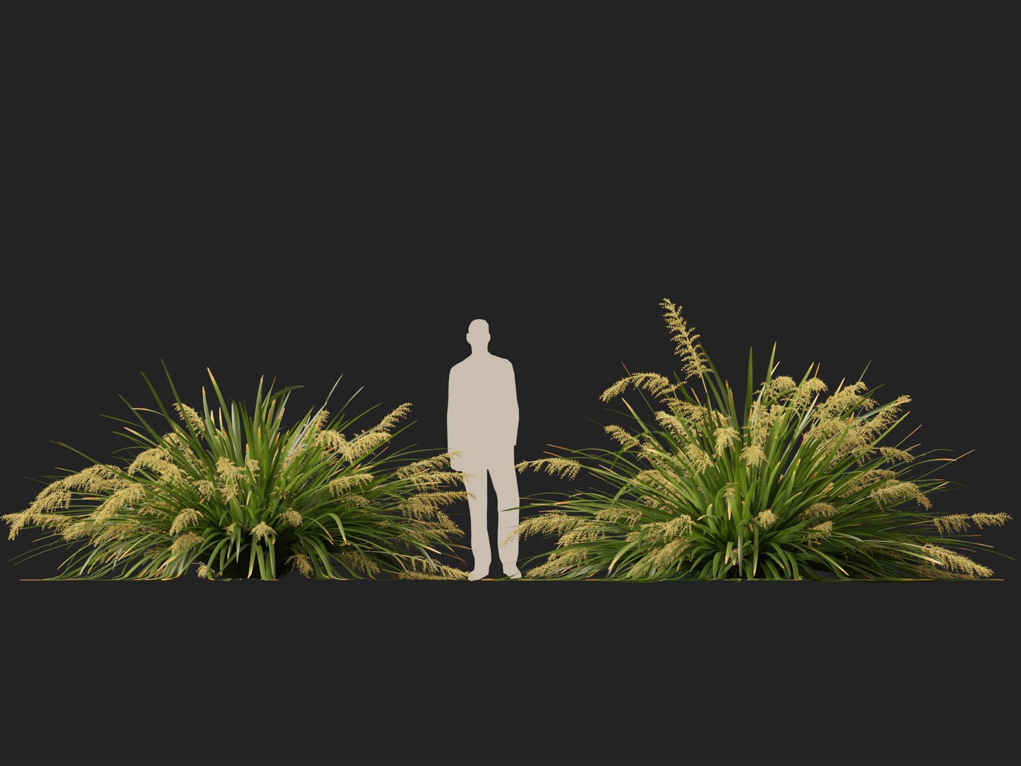 3D HighpolyLow Poly Lomandra hystrix Katie Belles - Slender Mat Rush https://p.turbosquid.com/ts-thumb/lM/QG8emZ/RK/lomandrahystrixkatiebelles018/jpg/1753438106/1920x1080/fit_q87/b7fdd022101ae7d6b962a9c0f6e7734475ed1a47/lomandrahystrixkatiebelles018.jpg