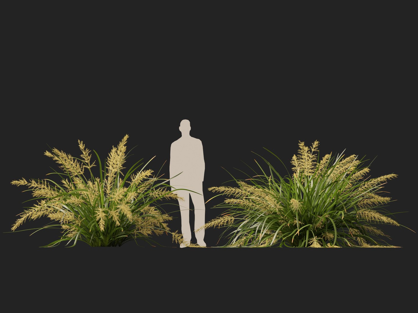 3D HighpolyLow Poly Lomandra hystrix Katie Belles - Slender Mat Rush https://p.turbosquid.com/ts-thumb/lM/QG8emZ/aJ/lomandrahystrixkatiebelles016/jpg/1753438105/1920x1080/fit_q87/cb104054da552766e6dcc72103ed7ea330c2c99f/lomandrahystrixkatiebelles016.jpg