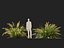 HighpolyLow Poly Lomandra Hystrix Кэти Беллес - Slender Mat Rush