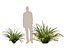 HighpolyLow Poly Lomandra Hystrix Кэти Беллес - Slender Mat Rush