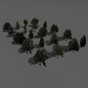 Trees