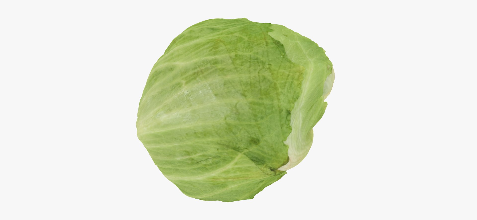 Lettuce 01 RAW Scan 3D Model TurboSquid 1862086