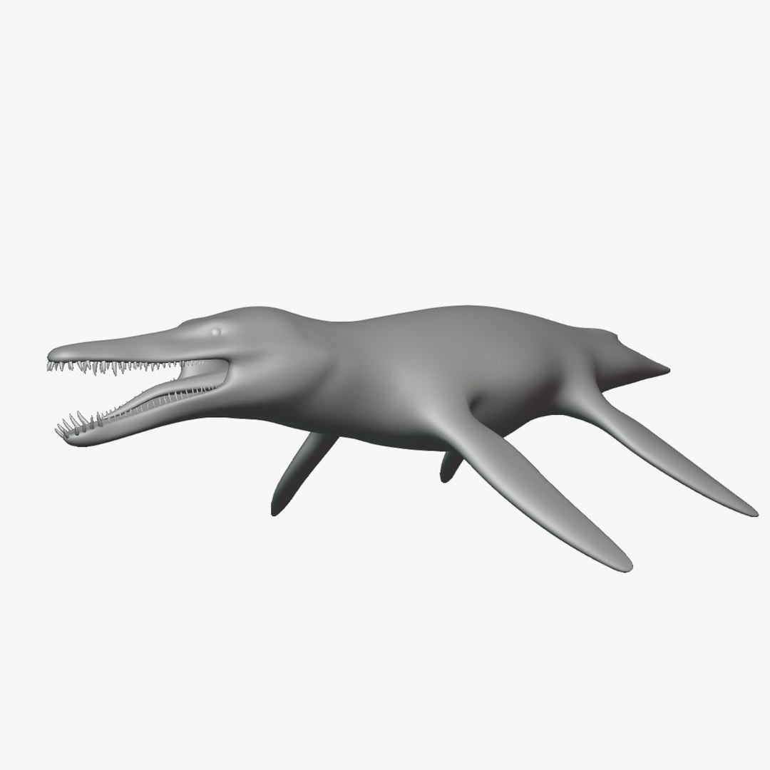 Kronosaurus Basemesh Low Poly 3D model TurboSquid 1994625