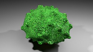 Tree 5