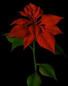 Poinsettia.obj