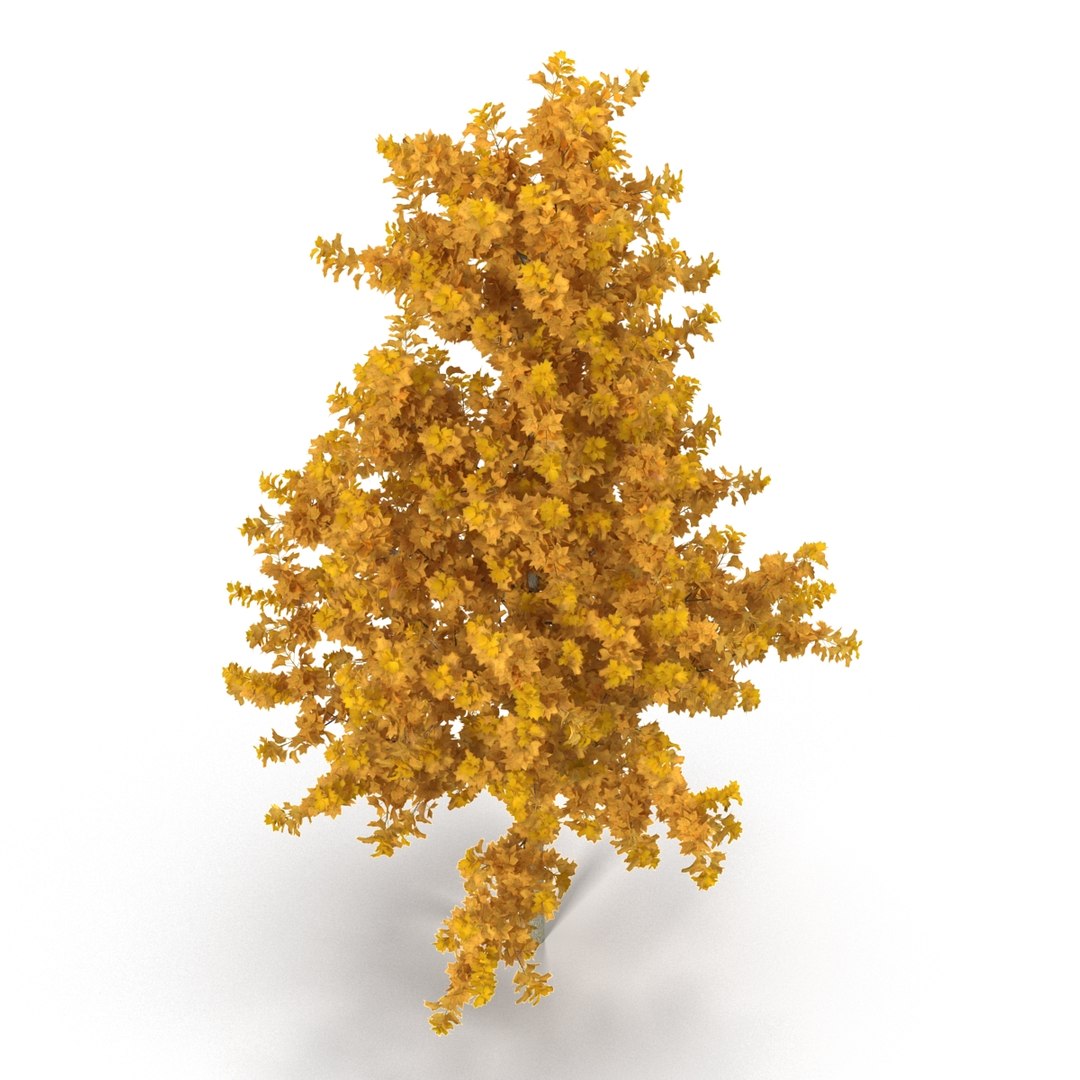 c4d autumn trees https://p.turbosquid.com/ts-thumb/lM/seDDsc/4simmmUr/autumntrees3dmodelscollection070/jpg/1443876596/1920x1080/fit_q87/9d1dae1971b79949bc6dc5eb22bc1d4878351541/autumntrees3dmodelscollection070.jpg