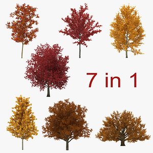 c4d autumn trees
