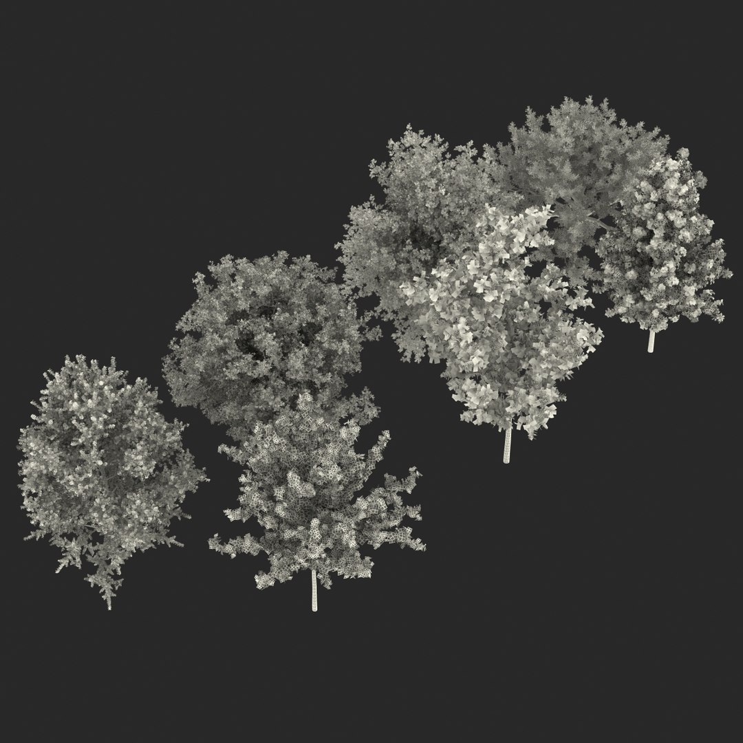 c4d autumn trees https://p.turbosquid.com/ts-thumb/lM/seDDsc/G3dpoEaq/autumntrees3dmodelscollection082/jpg/1443876597/1920x1080/fit_q87/ee70b740e49530a8d2db37495b1c3f3b1f889940/autumntrees3dmodelscollection082.jpg
