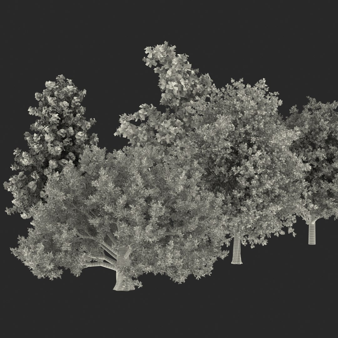 c4d autumn trees https://p.turbosquid.com/ts-thumb/lM/seDDsc/Gh18LXOp/autumntrees3dmodelscollection083/jpg/1443876597/1920x1080/fit_q87/05bb7cca6f25936f3b17399e66dde543971de601/autumntrees3dmodelscollection083.jpg