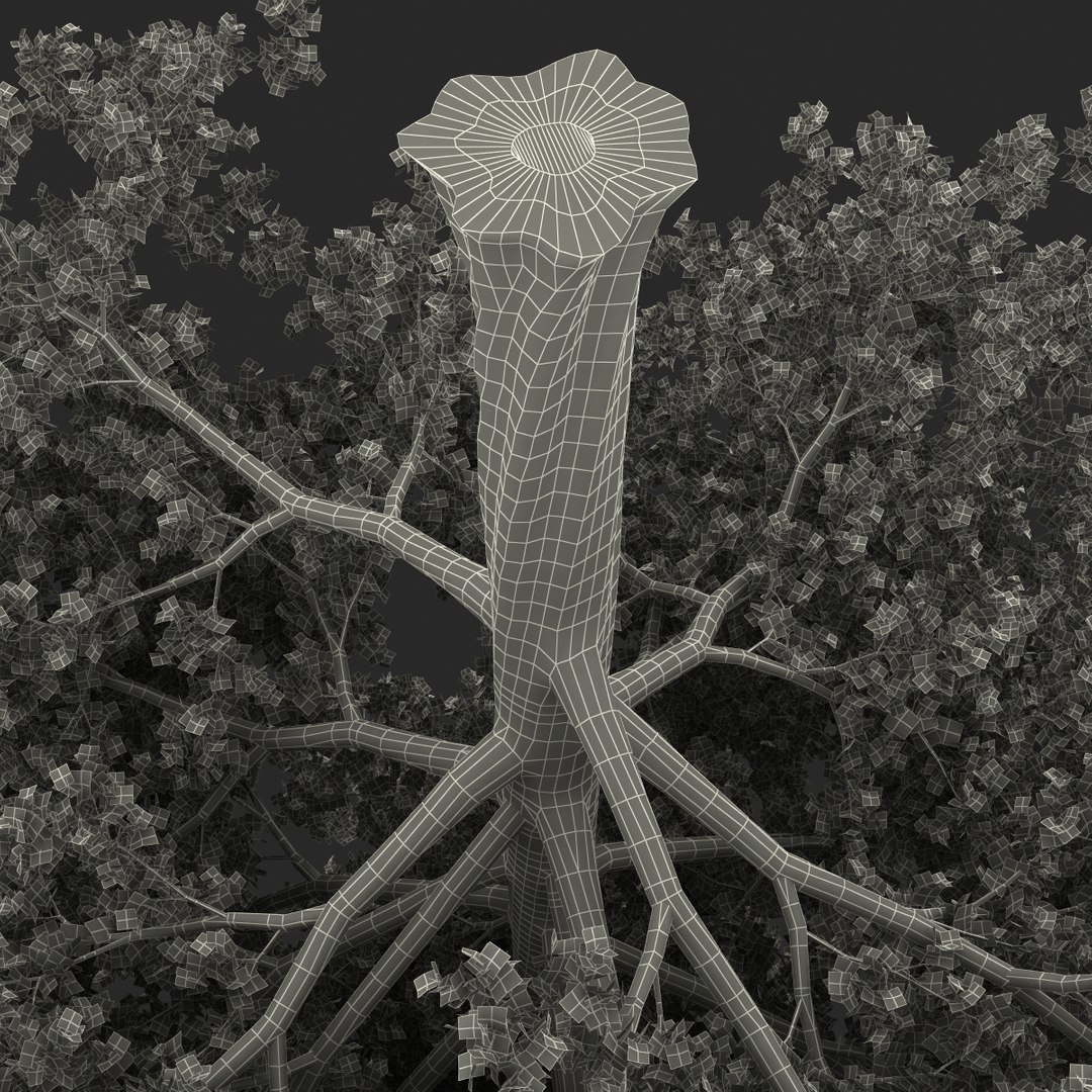 c4d autumn trees https://p.turbosquid.com/ts-thumb/lM/seDDsc/JuHfYDDZ/autumntrees3dmodelscollection088/jpg/1443876598/1920x1080/fit_q87/f161a63ae08dd3f0f08830fcd5f490f4d0f2504f/autumntrees3dmodelscollection088.jpg