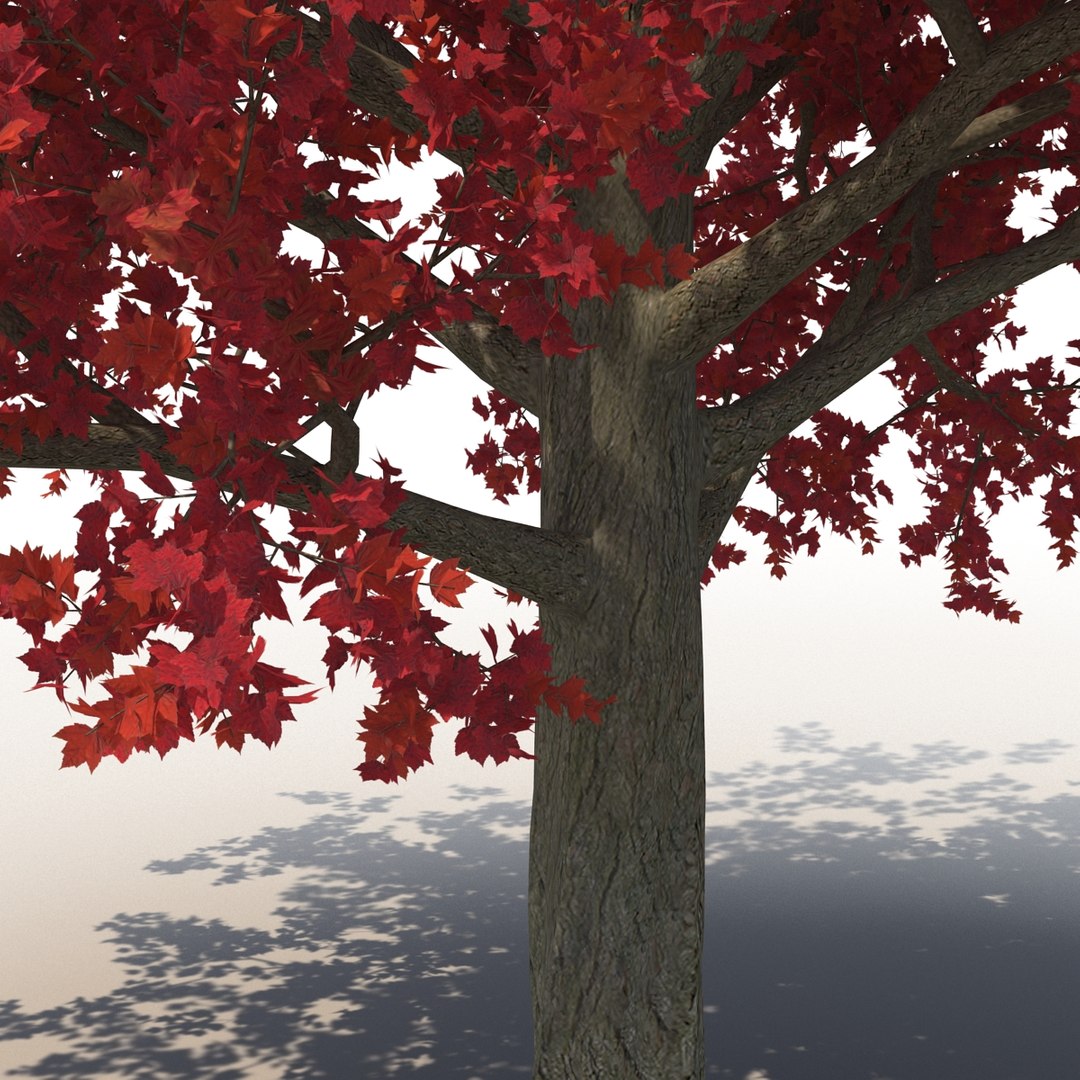 c4d autumn trees https://p.turbosquid.com/ts-thumb/lM/seDDsc/LKkMv3kI/autumntrees3dmodelscollection038/jpg/1443876593/1920x1080/fit_q87/00bae1f3941c48ab06e06a1d89fb2b5077de595e/autumntrees3dmodelscollection038.jpg