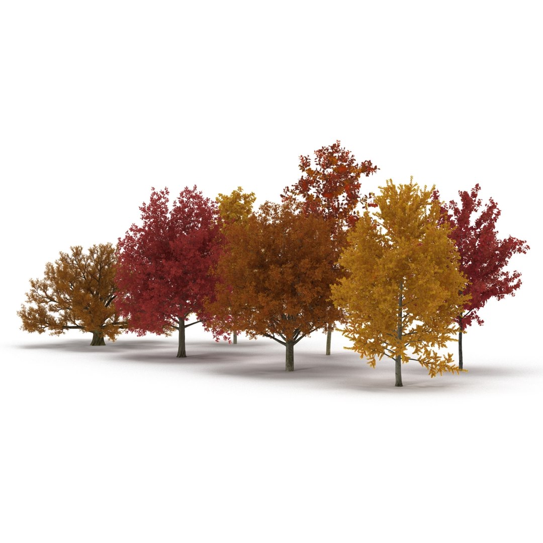 c4d autumn trees https://p.turbosquid.com/ts-thumb/lM/seDDsc/MBBPMwK9/autumntrees3dmodelscollection003/jpg/1443876589/1920x1080/fit_q87/48db43fb6576af1e74d09ab54150db19f0fe78a1/autumntrees3dmodelscollection003.jpg