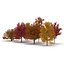 Autumn Trees Collection
