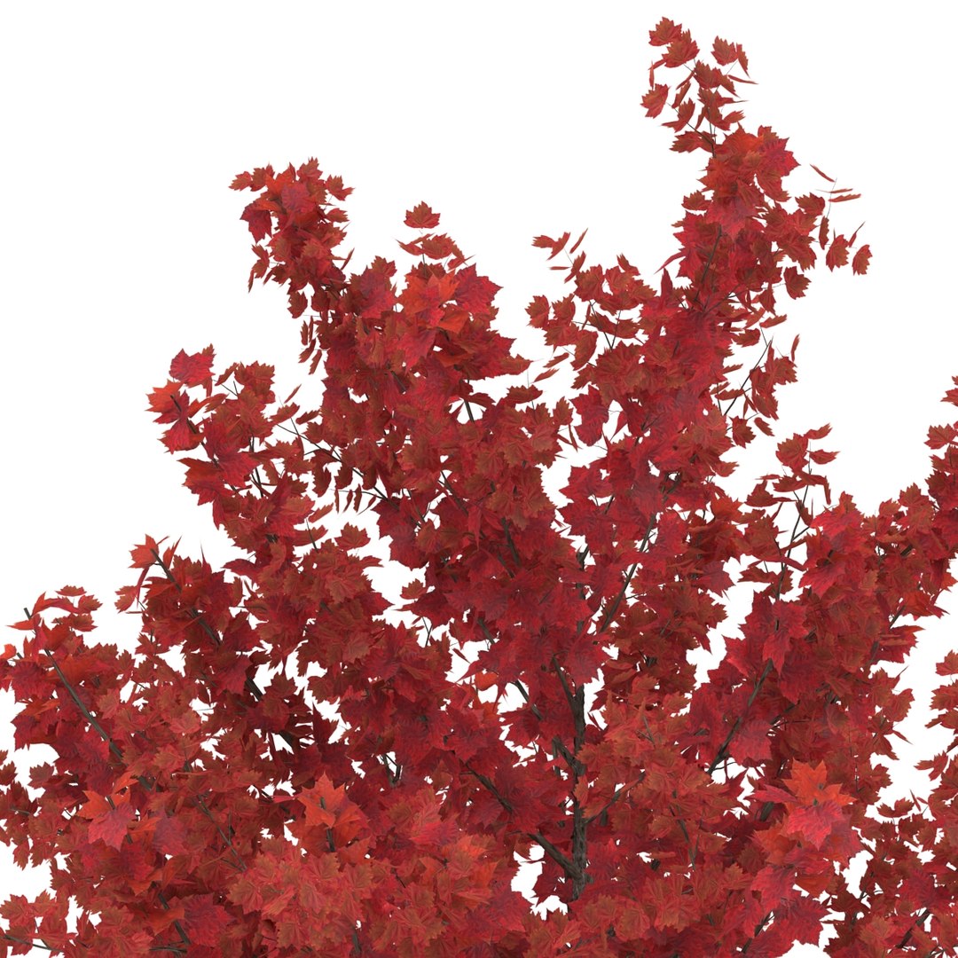 c4d autumn trees https://p.turbosquid.com/ts-thumb/lM/seDDsc/OSdc5jE8/autumntrees3dmodelscollection060/jpg/1443876595/1920x1080/fit_q87/a5dc62aa7fb928d8571d04e47c2edb6fd5e252e6/autumntrees3dmodelscollection060.jpg