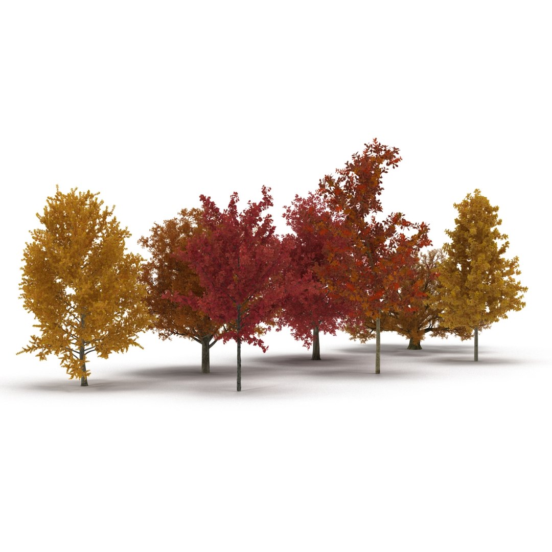 c4d autumn trees https://p.turbosquid.com/ts-thumb/lM/seDDsc/RAiUKrdU/autumntrees3dmodelscollection004/jpg/1443876589/1920x1080/fit_q87/c7dda3fd2c3f47dea30c5d478466f3607f7c3b3d/autumntrees3dmodelscollection004.jpg