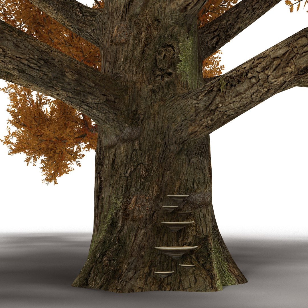 c4d autumn trees https://p.turbosquid.com/ts-thumb/lM/seDDsc/WgBTJp84/autumntrees3dmodelscollection027/jpg/1443876592/1920x1080/fit_q87/cc179187ca1db260d78f68df9f15f69340abfd29/autumntrees3dmodelscollection027.jpg