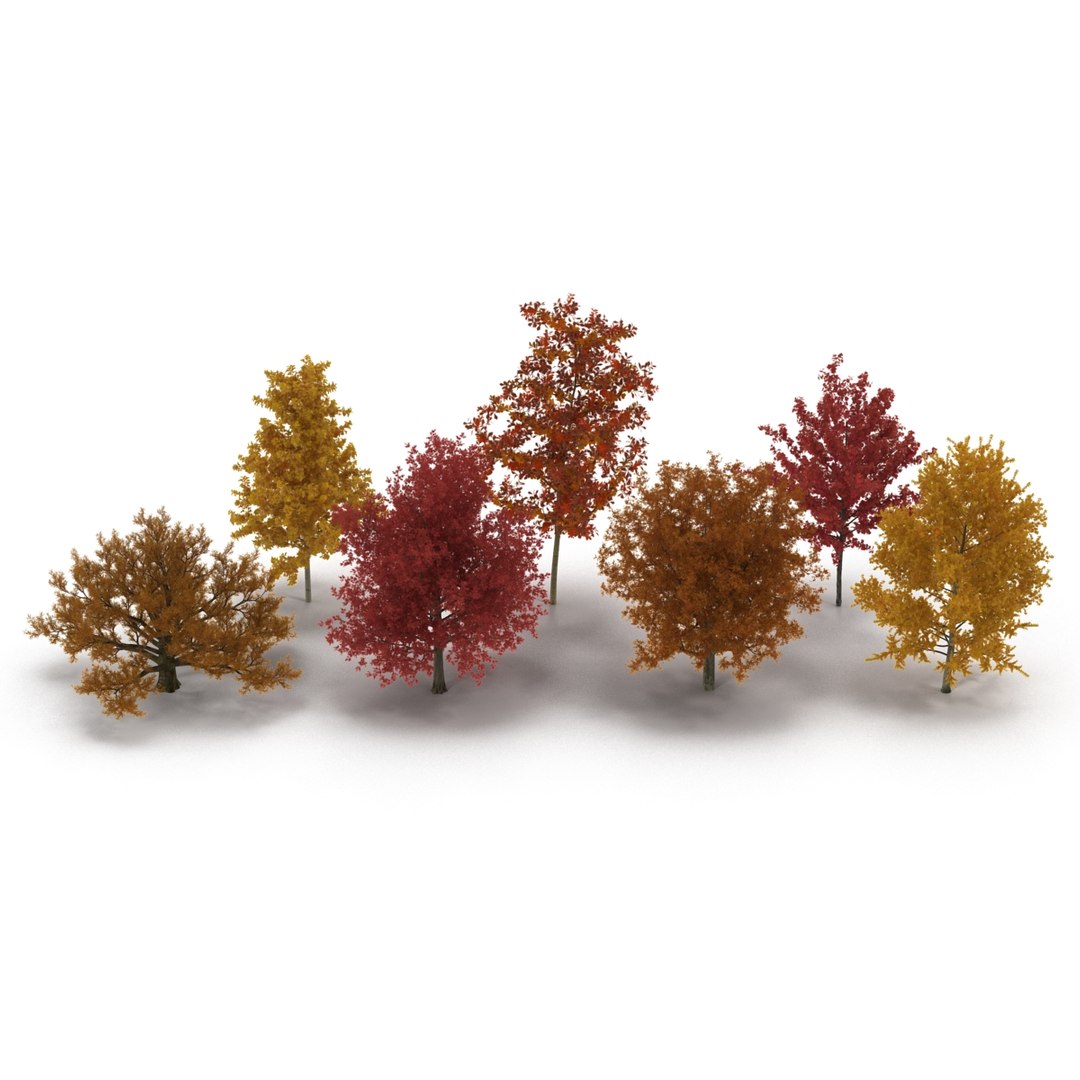 c4d autumn trees https://p.turbosquid.com/ts-thumb/lM/seDDsc/YayjxjiW/autumntrees3dmodelscollection001/jpg/1443876589/1920x1080/fit_q87/babe964aab87dac9606b7008503adf2233187879/autumntrees3dmodelscollection001.jpg