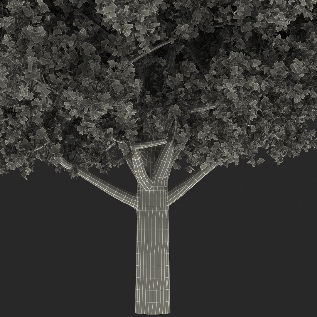 c4d autumn trees https://p.turbosquid.com/ts-thumb/lM/seDDsc/cbnRM05V/autumntrees3dmodelscollection085/jpg/1443876598/1920x1080/fit_q87/b22bd7be3854ff9f2c7bbce6a0ab43f6fa58acb5/autumntrees3dmodelscollection085.jpg
