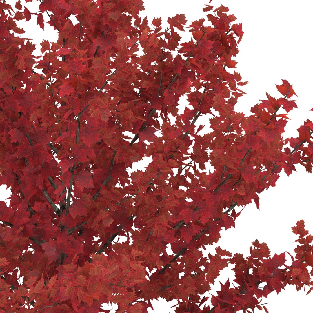 c4d autumn trees https://p.turbosquid.com/ts-thumb/lM/seDDsc/d10n5JOe/autumntrees3dmodelscollection057/jpg/1443876595/1920x1080/fit_q87/5ea4bf7bdfc40de34aeee7e7615851c332bbf75a/autumntrees3dmodelscollection057.jpg