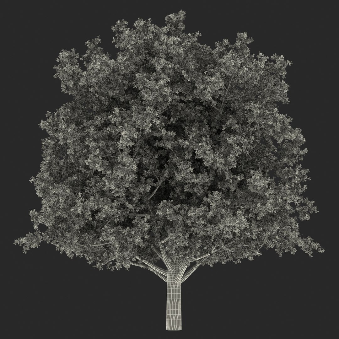 c4d autumn trees https://p.turbosquid.com/ts-thumb/lM/seDDsc/e6HqbnqB/autumntrees3dmodelscollection084/jpg/1443876597/1920x1080/fit_q87/bf29382a4b68f6851c0317b63a8b3fb70b35315e/autumntrees3dmodelscollection084.jpg