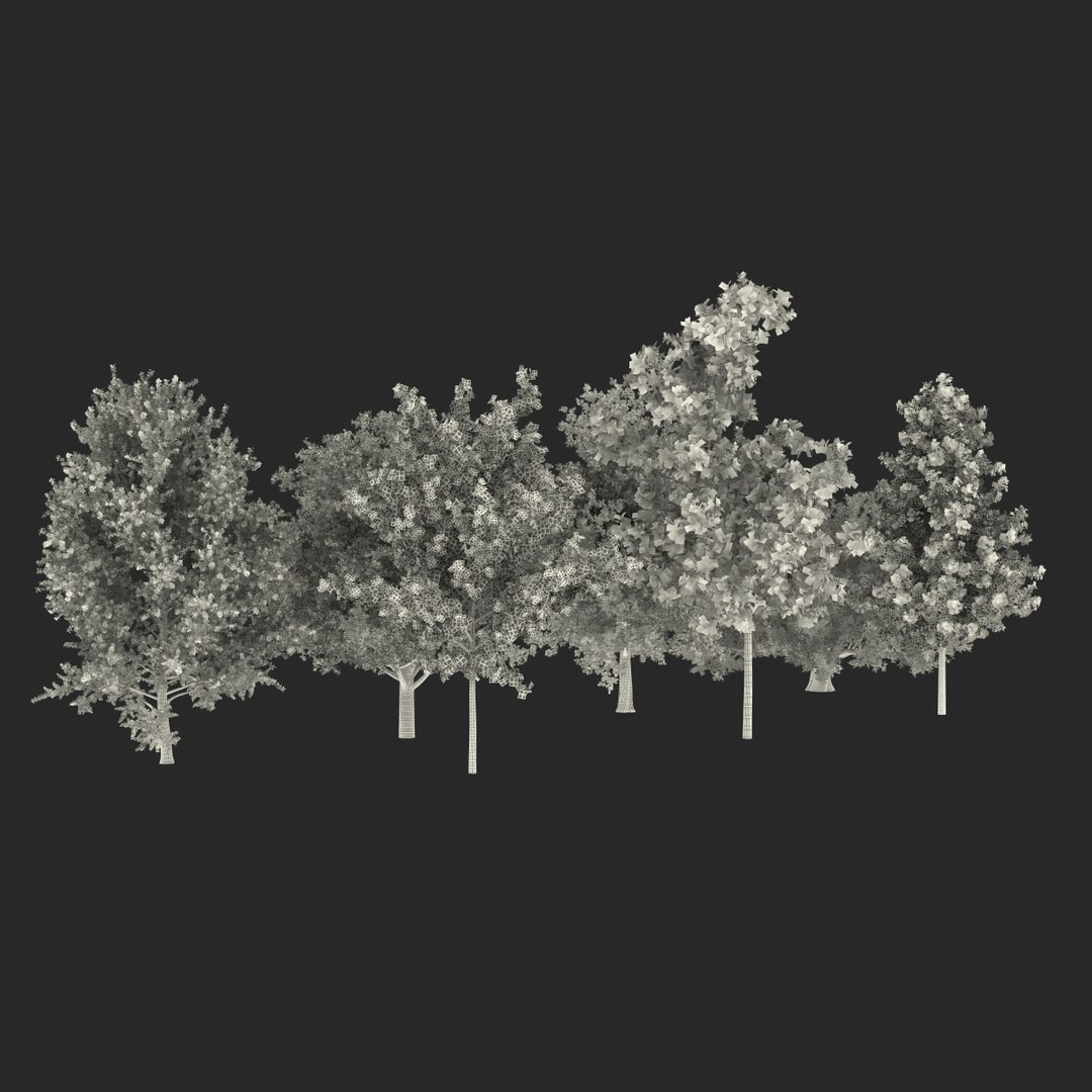 c4d autumn trees https://p.turbosquid.com/ts-thumb/lM/seDDsc/eUllGcDZ/autumntrees3dmodelscollection081/jpg/1443876597/1920x1080/fit_q87/fdf98658985eeb197af2e3b297f6cd363ce4290f/autumntrees3dmodelscollection081.jpg