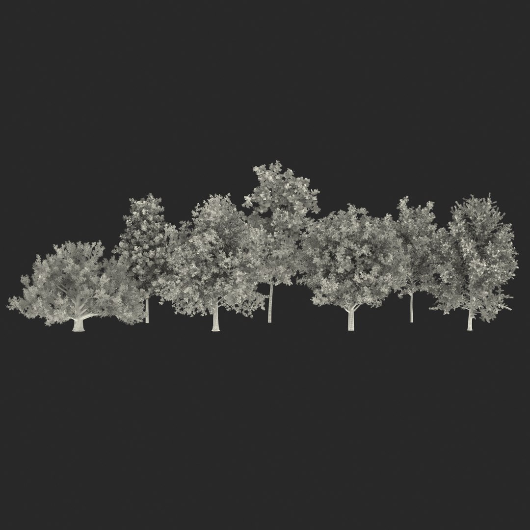 c4d autumn trees https://p.turbosquid.com/ts-thumb/lM/seDDsc/iROdmYqe/autumntrees3dmodelscollection080/jpg/1443876597/1920x1080/fit_q87/68967de414c41d718859c2529c7b34ff6adb90f7/autumntrees3dmodelscollection080.jpg