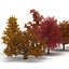 Autumn Trees Collection