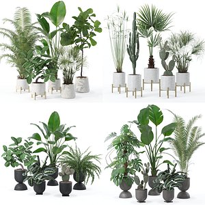 20 Photorealistic Flowers for Interiors - set 120 123 124 143