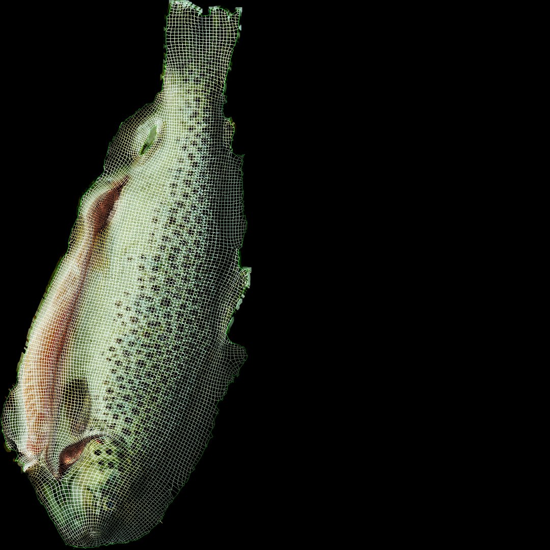 Seafood Collection 01 model https://p.turbosquid.com/ts-thumb/lN/2EqM10/5E/uv/jpg/1656401973/1920x1080/fit_q87/0410d0372cc5079859d6aaed3a76409930ed0fdf/uv.jpg
