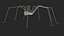 Pholcus Phalangioides