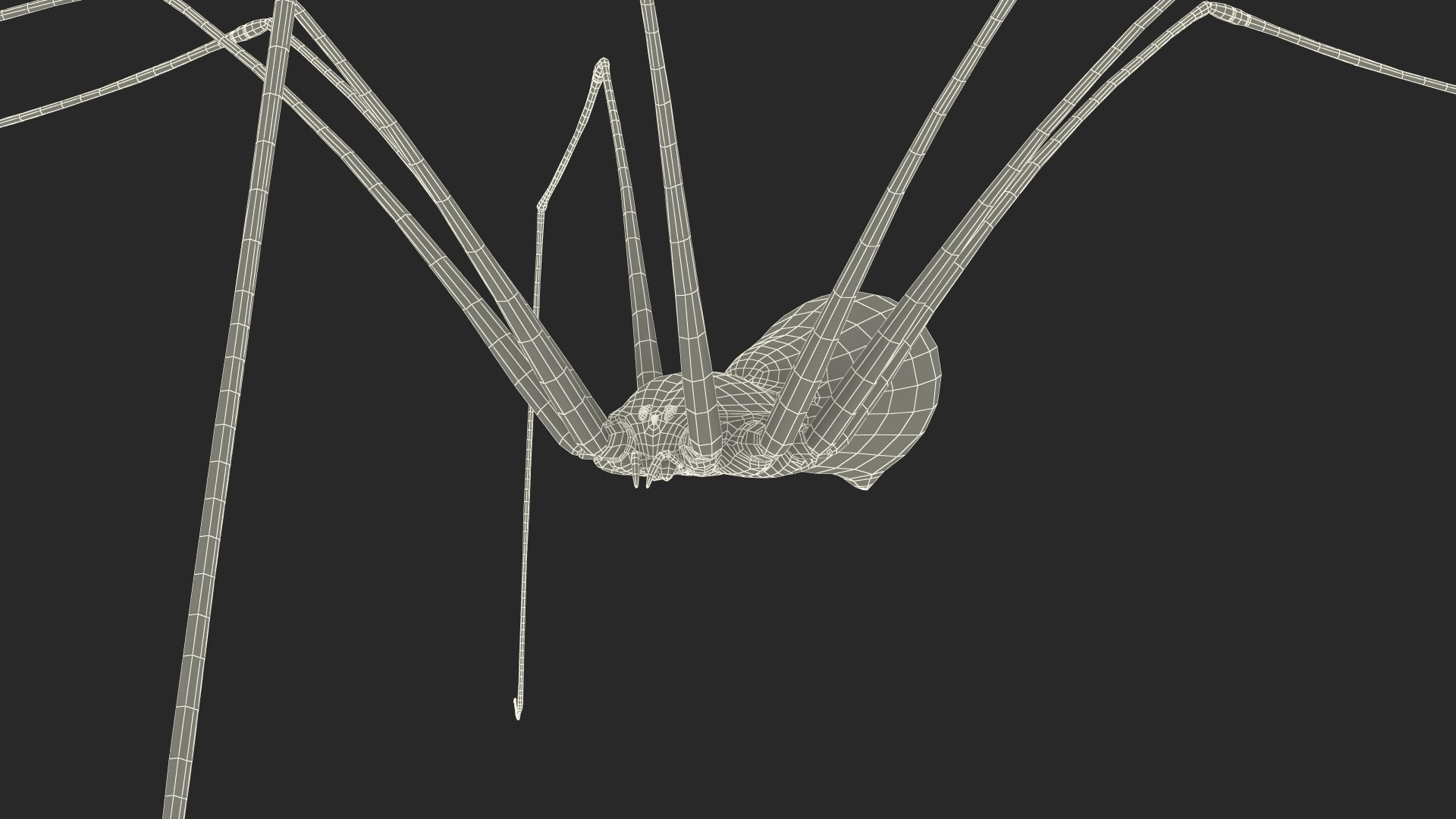 3D Pholcus Phalangioides https://p.turbosquid.com/ts-thumb/lN/2OY6HD/50/pholcusphalangioidesmb3dmodel027/jpg/1713925962/1920x1080/fit_q87/f74ffcf1a505b7390002f74a51e13632c472fb49/pholcusphalangioidesmb3dmodel027.jpg