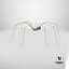 3D Pholcus Phalangioides