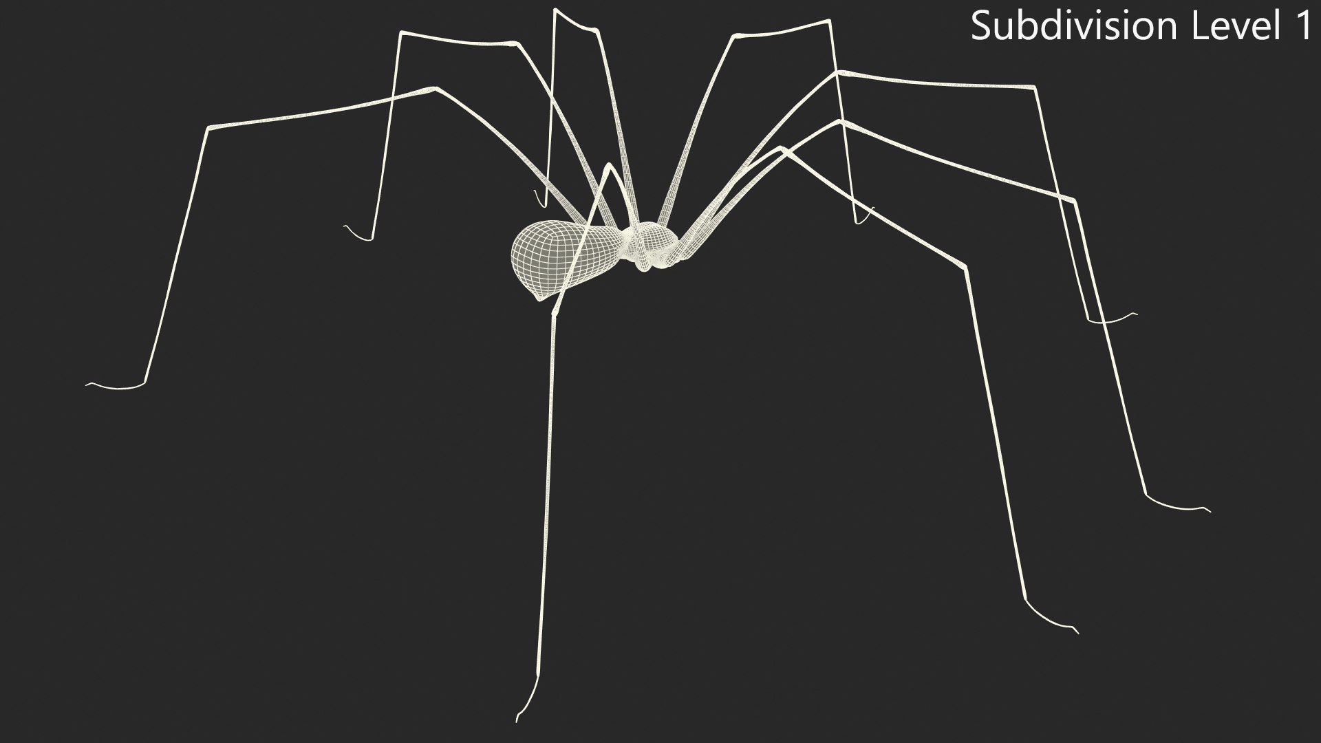 3D Pholcus Phalangioides https://p.turbosquid.com/ts-thumb/lN/2OY6HD/EM/pholcusphalangioidesmb3dmodel017/jpg/1713925928/1920x1080/fit_q87/e63ad4b8f8321b375ef4e5307d9cb4a324bb470e/pholcusphalangioidesmb3dmodel017.jpg